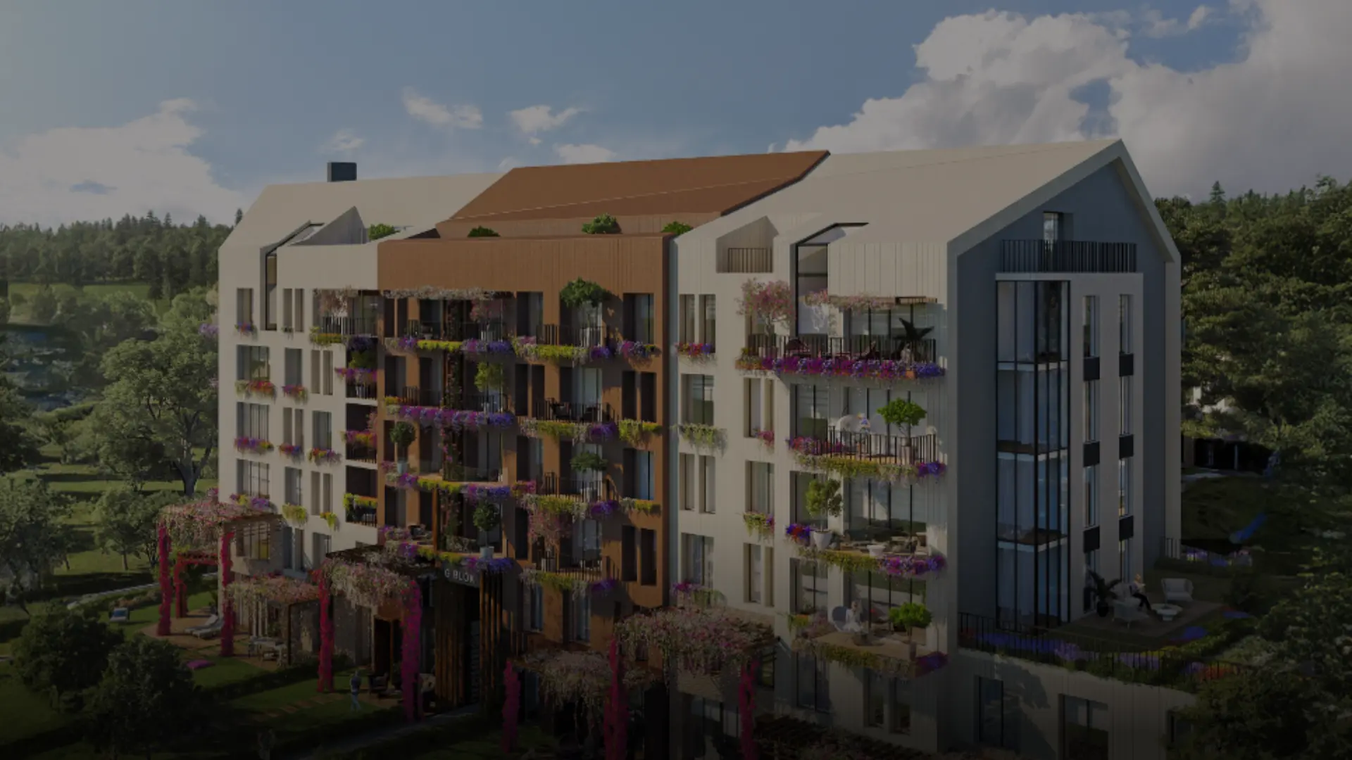 section-project-detail-header