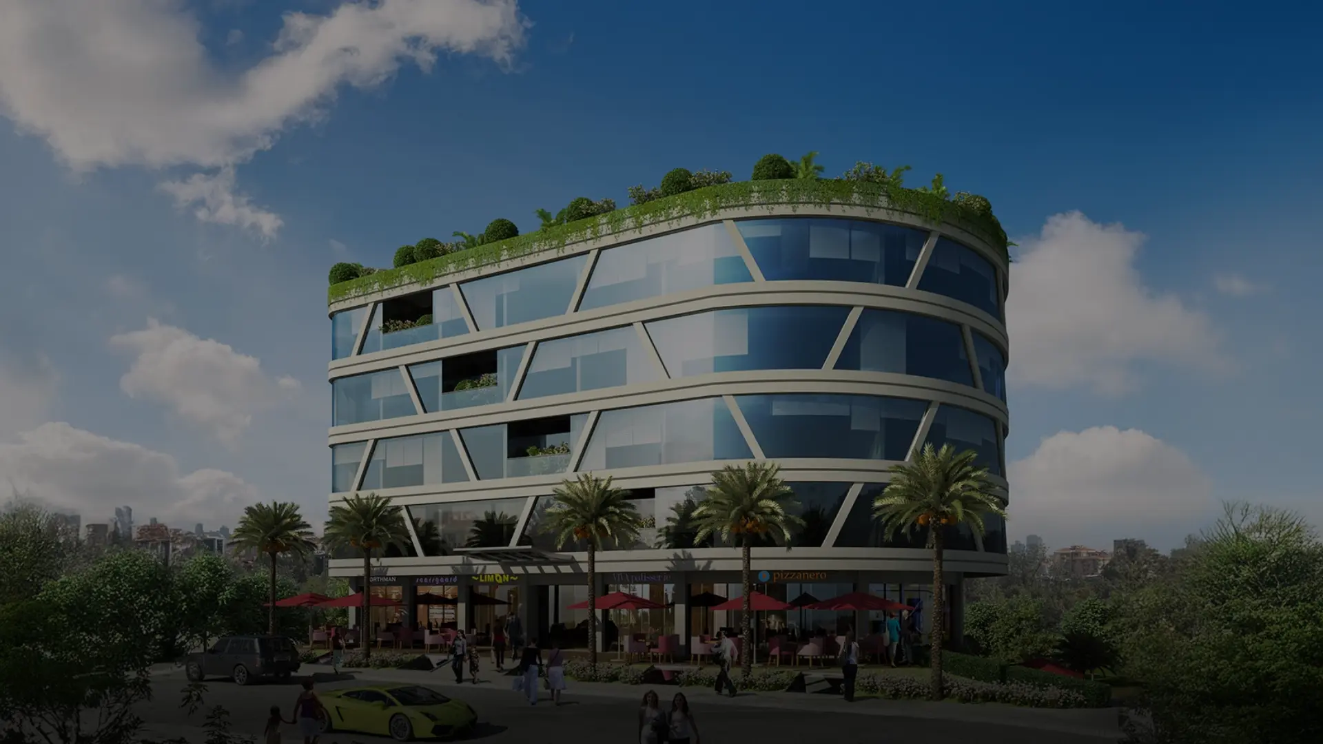 section-project-detail-header