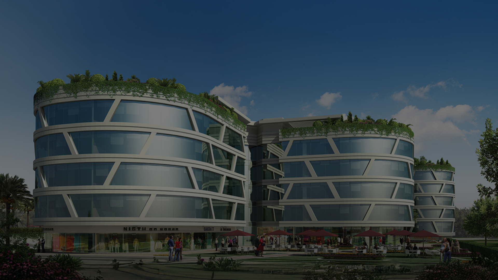 section-project-detail-header