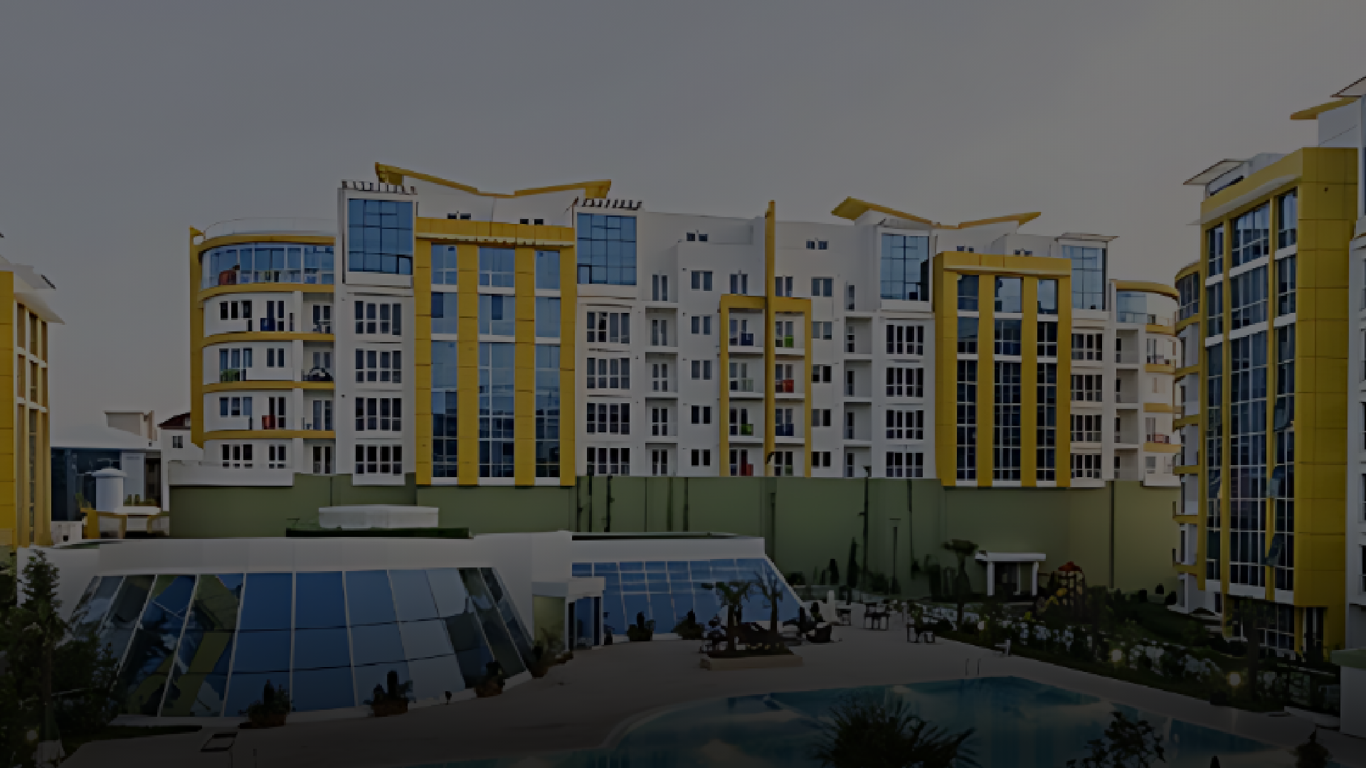 section-project-detail-header