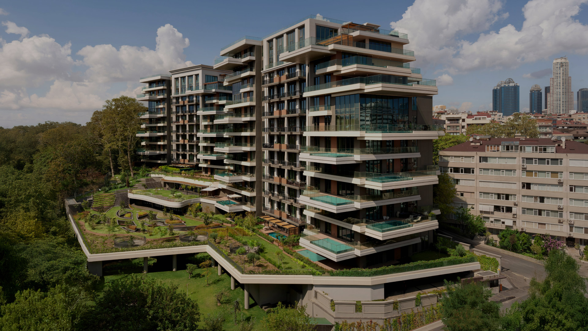 section-project-detail-header